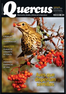 AVES QUE DISPERSAN SEMILLAS