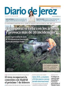 EL TEMPORAL SE CEBA CON LOS ÁRBOLES Y PROVOCA MÁS DE 30 INCIDENCIAS